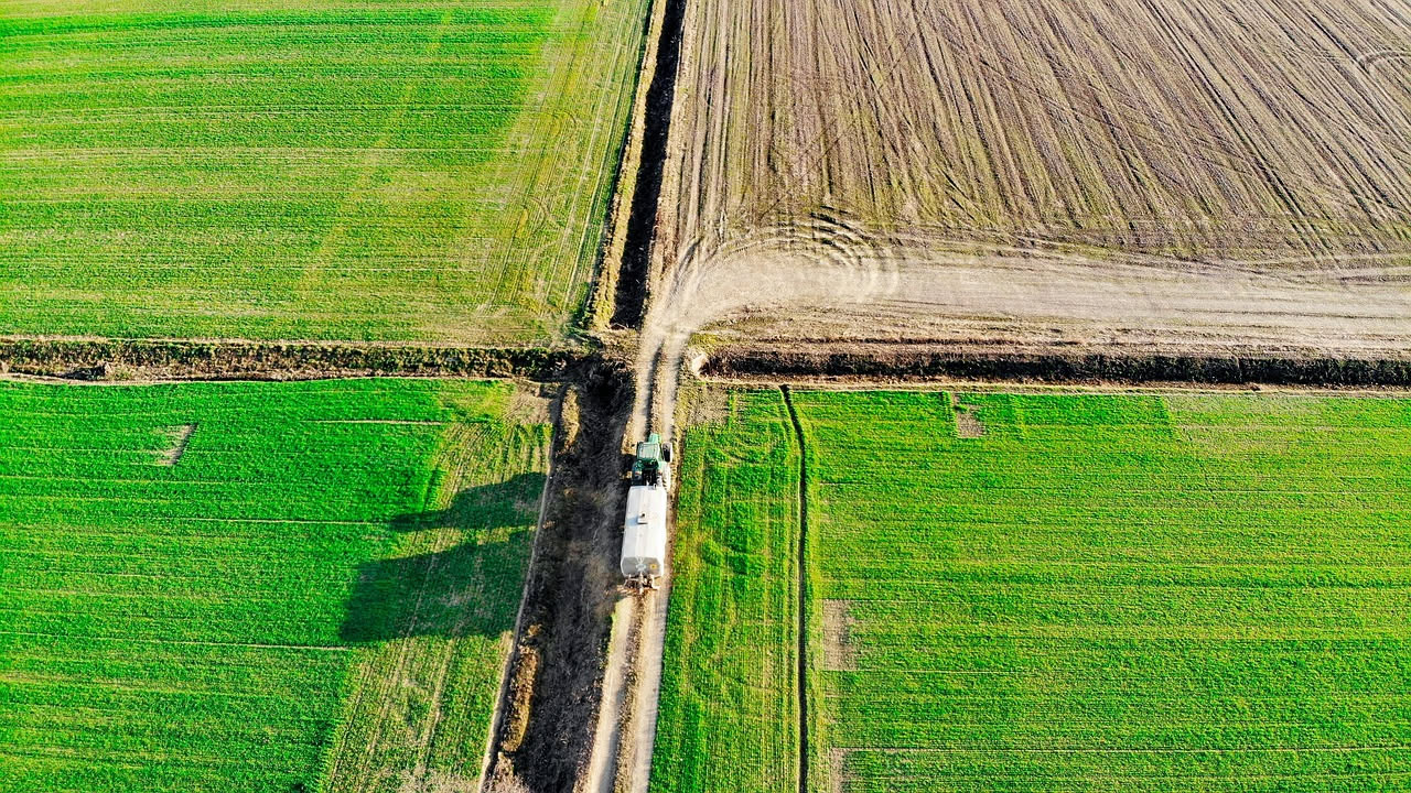 ChatGPT in agricoltura italiana: dieci usi concreti per aziende e coltivatori