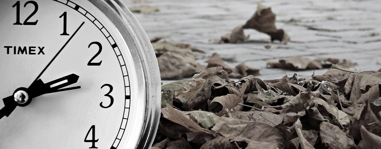 Quando l'IA sbaglia: come verificare senza perdere tempo