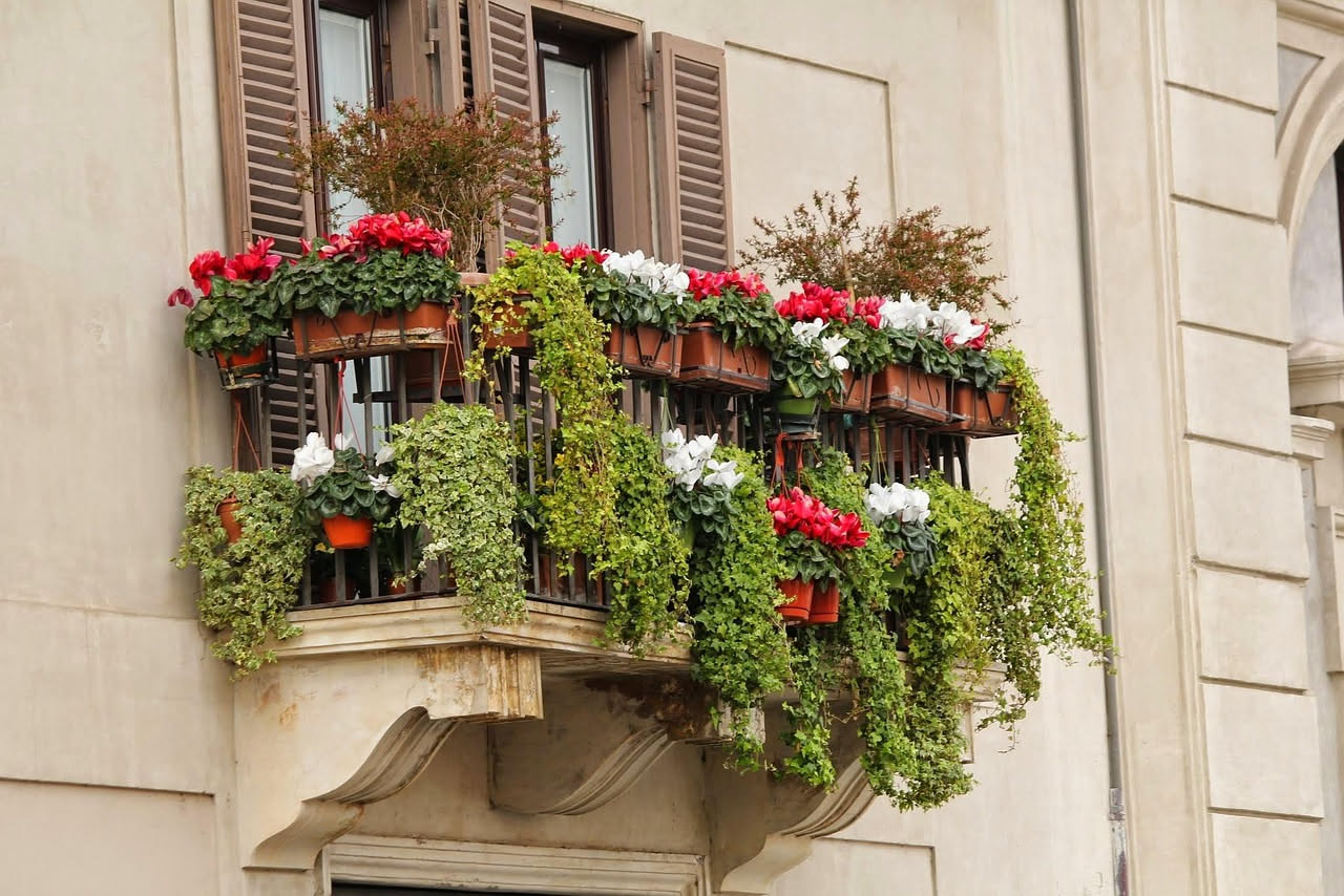 Balcone in primavera: quali piante scegliere e come colorarlo