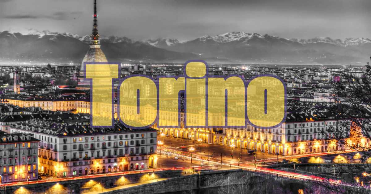 Asilo per cani a Torino: come usare l'AI per fare un business plan
