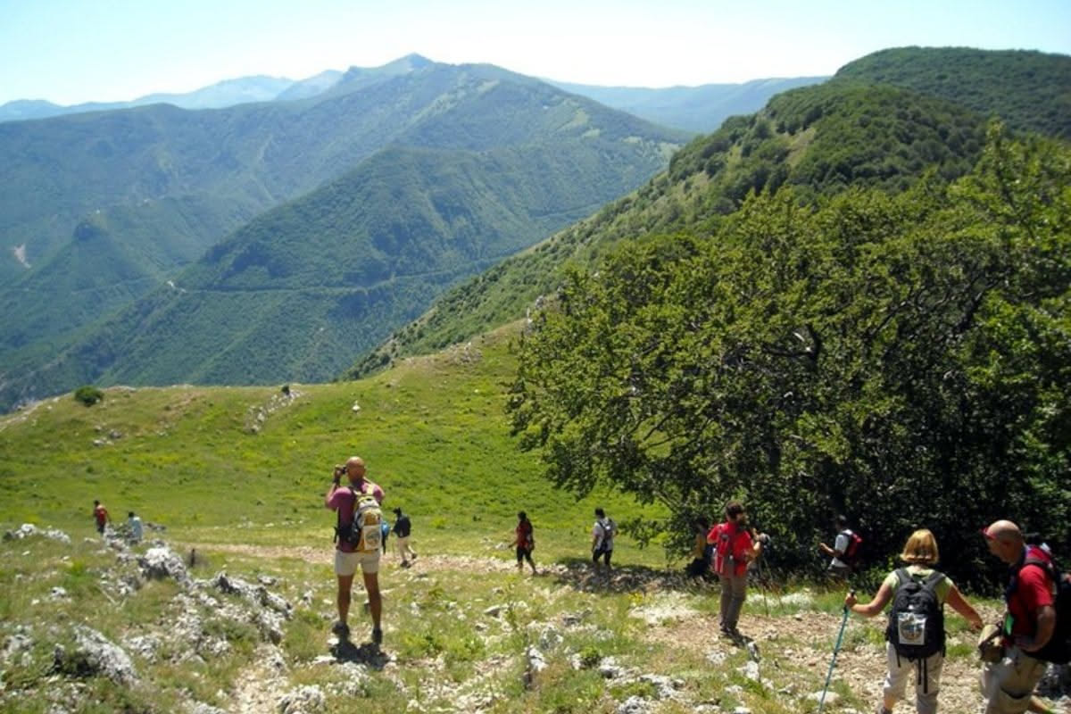 Guida turistica al Parco d'Abruzzo: come iniziare la professione
