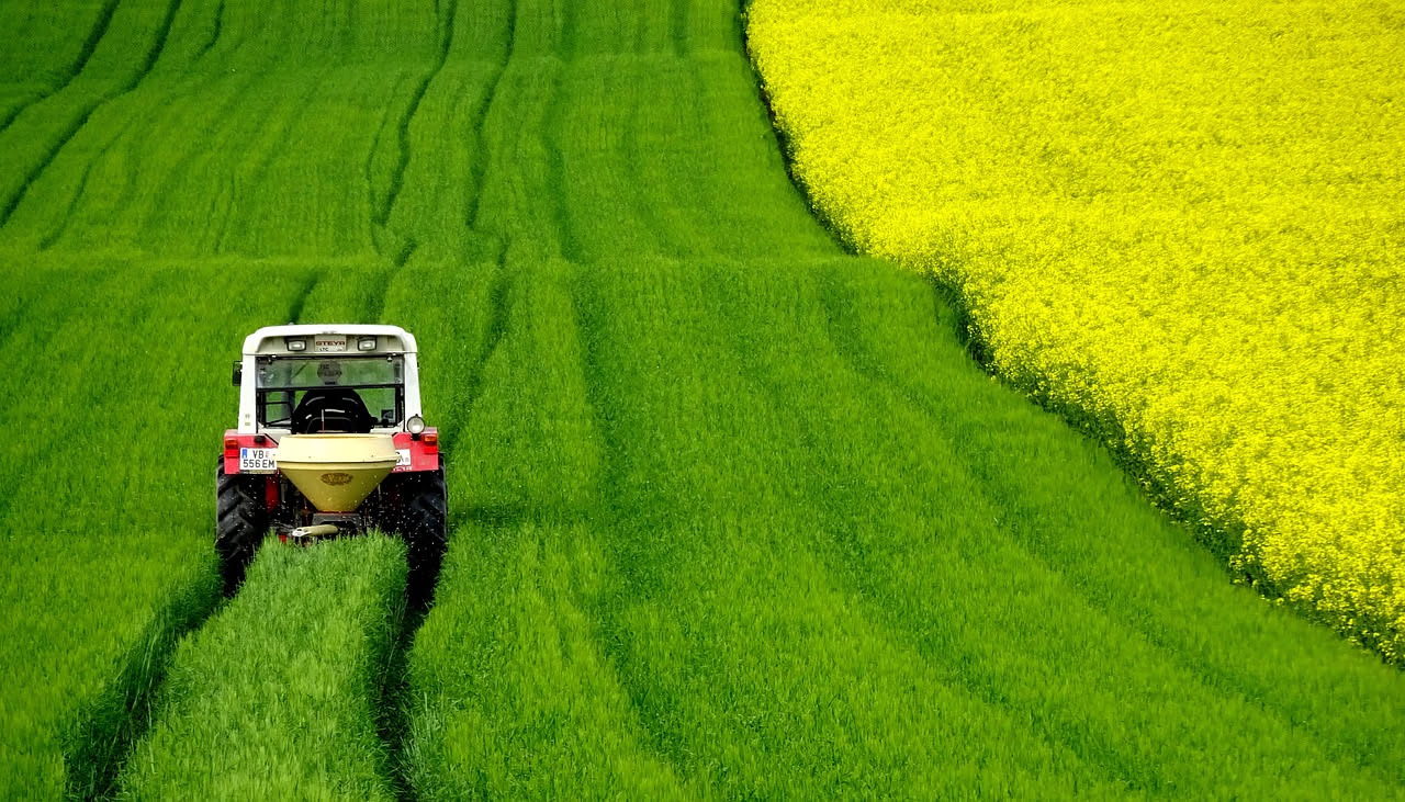ChatGPT in azienda agricola: quali compiti funzionano davvero nel campo