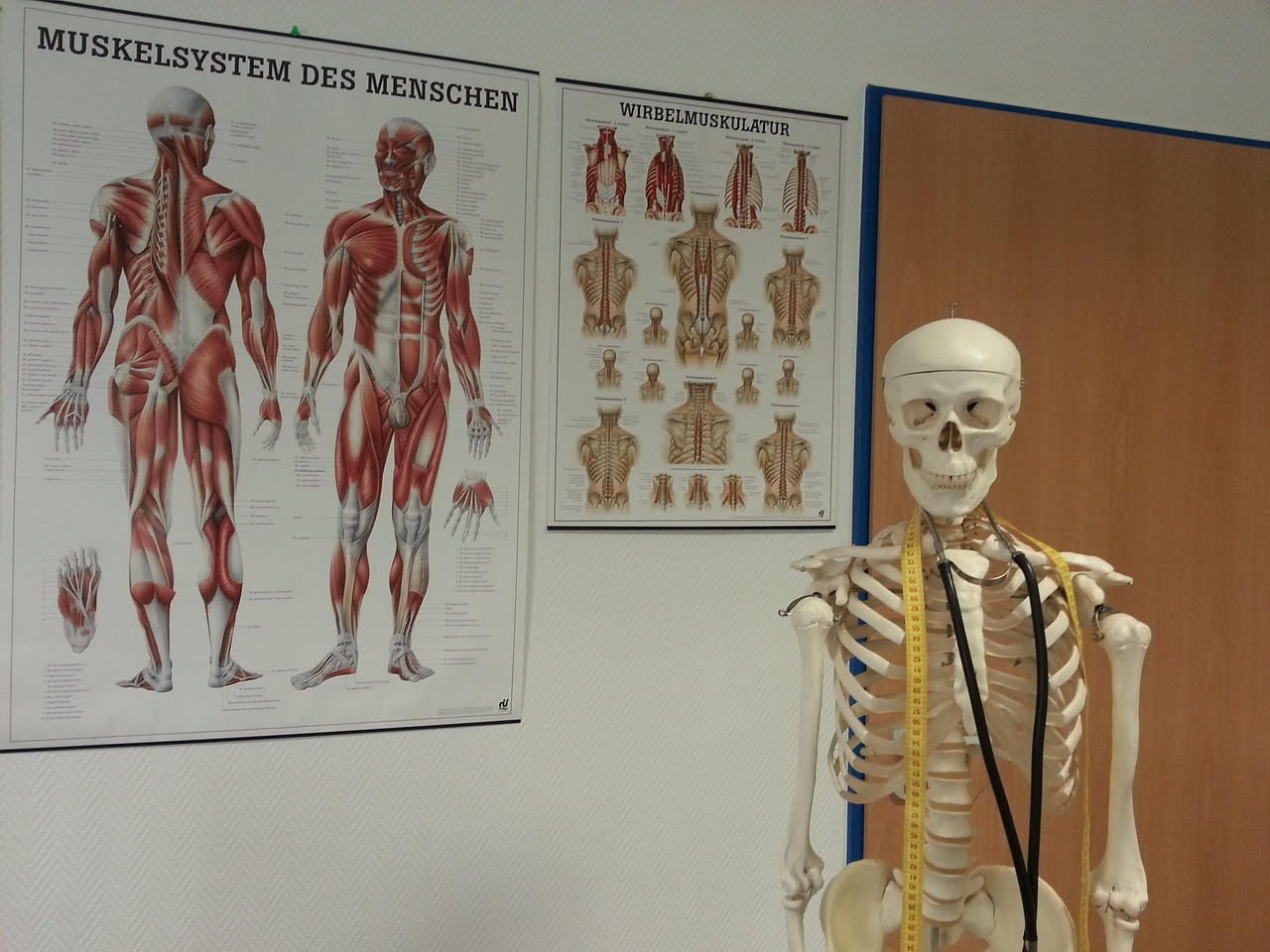 Studente di medicina guarda uno schermo con modello 3D interattivo di un organo umano, circondato da libri di anatomia e appunti cartacei su una scrivania