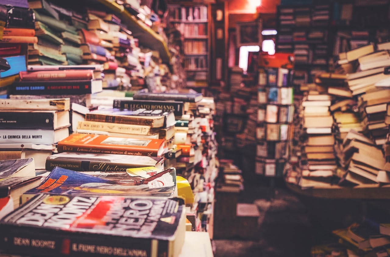 Interno di una piccola libreria con scaffali di legno, libri ordinati per categoria, banco cassa in legno scuro e luce naturale che entra da una finestra
