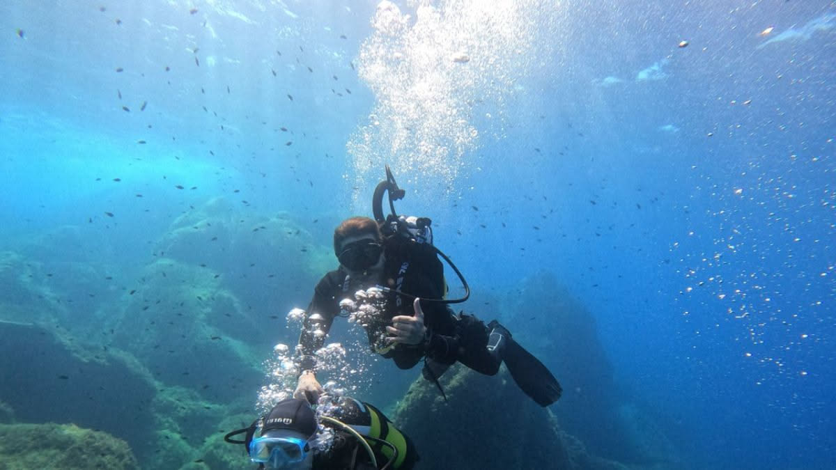 Istruttore subacqueo in Sardegna: il percorso PADI passo dopo passo